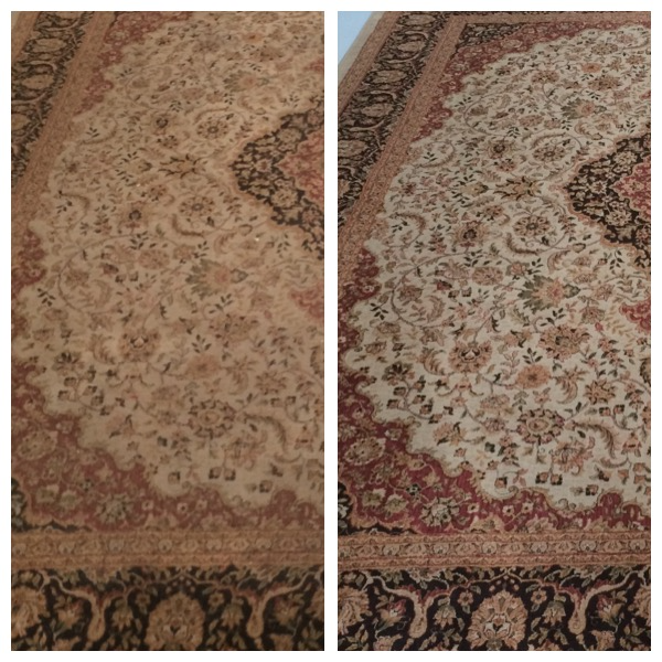 Rug Cleaning Before & After 6